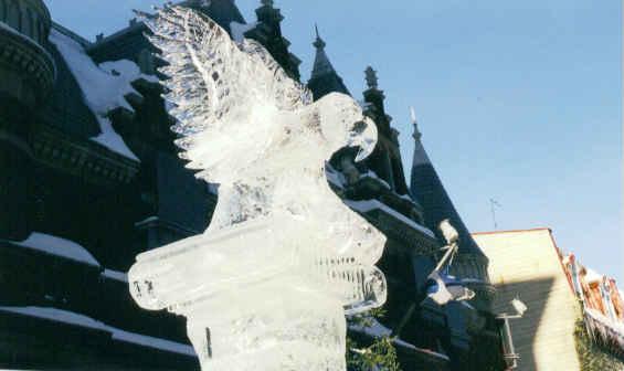 aigle