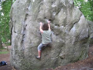 a1